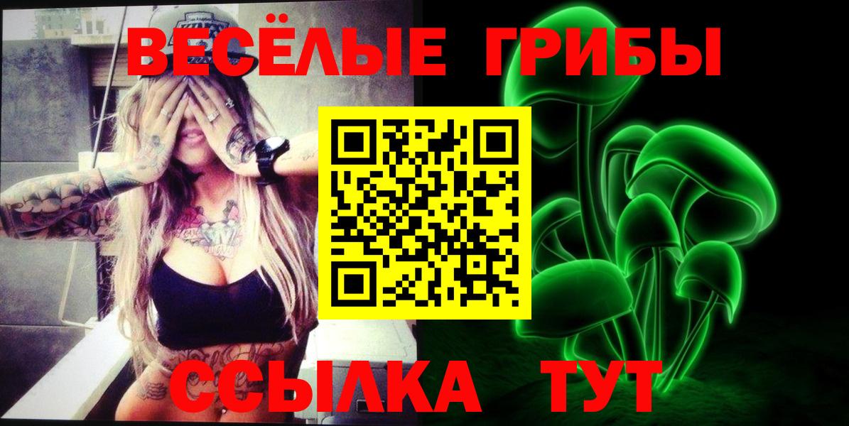 Донской  Псилоцибиновые грибы Psilocybine cubensis  Вход с VPN 